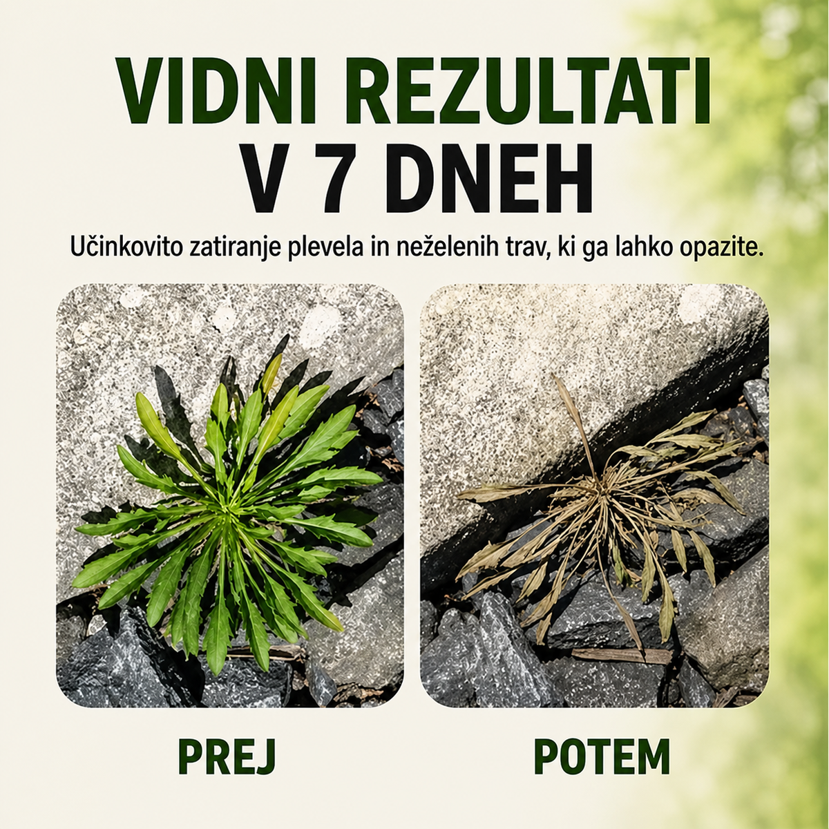Hitrodelujoči naravni sprej proti plevelu in travi